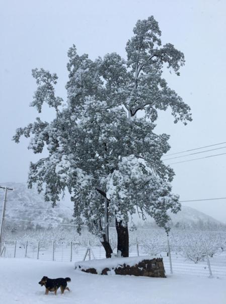 Posada Del Jinete San José de Maipo Esterno foto